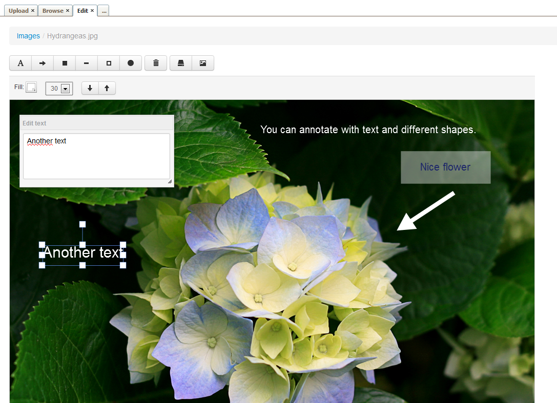 Image annotations image