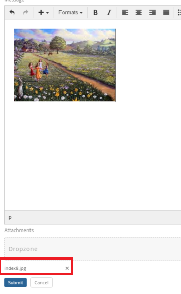 image as attachment image