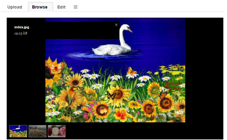 Image browsing image