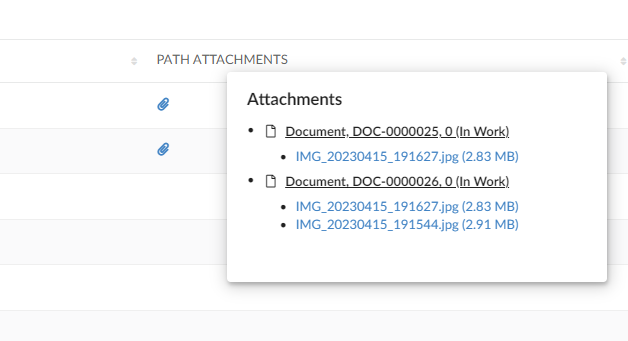 Path Attachment Column type